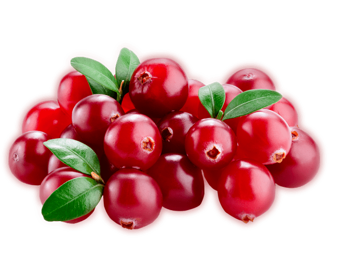 Prostamin Forte zawiera czerwone jagody